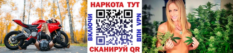 Псилоцибиновые грибы Нальчик