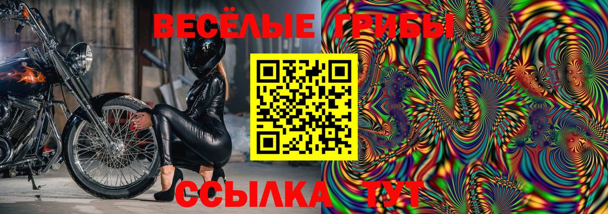 Галлюциногенные грибы прущие грибы Нальчик