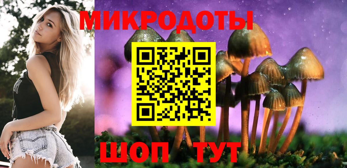 Нальчик  Псилоцибиновые грибы Magic Shrooms  Вход с VPN  Галлюциногенные грибы мухоморы 